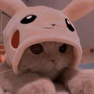 Meet your Posher, Kait